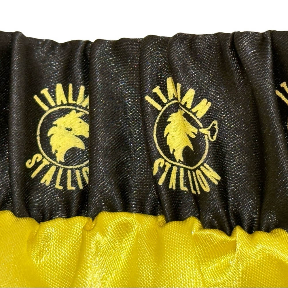 NWOT Vintage Rocky Italian Stallion Logos Gold Boxing Ring Robe and Shor… - Picture 10 of 11